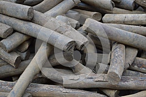 Stack of Sawed Logs