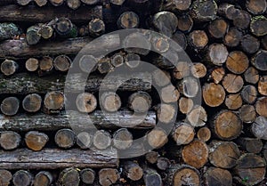 A stack of sawn firewood stacked in different directions