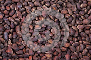 Stack of Siberian pine nuts on a market stall