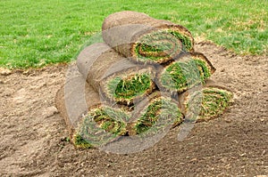 Stack of Sod Rolls