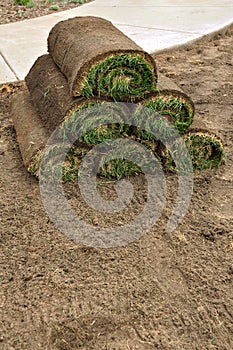 Stack of Sod Rolls