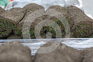 Stack of sod rolls for new lawn