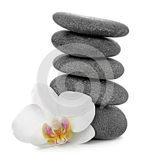 Stack of spa stones and beautiful flower on white background