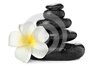 Stack of spa stones and beautiful flower on white background