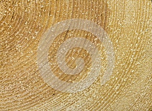 Stack of spilled logs in the forest, side view.