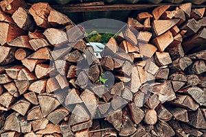 Stack of split firewood pieces creating a rustic natural background texture
