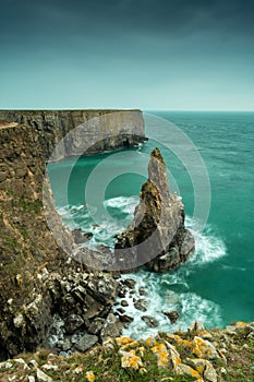 Stack at Stackpole, Pembrokeshire