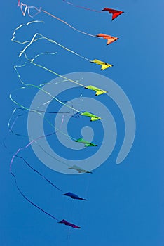 Stack of stunt kites