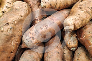 Stack of Sweet Potatoes on a market stall