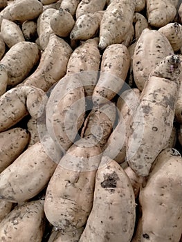 stack sweet potatoes at the minimarket