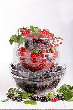 Black gooseberries blackcurrants and redcurrants photo