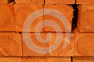 Stack of timber piles