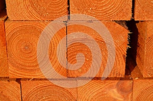 Stack of timber piles