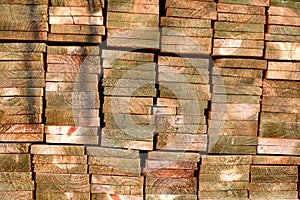 Stack of treated Pine Timber 1