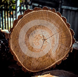 Stack of tree stump for background