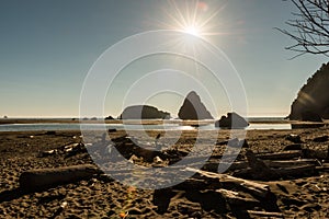 Stack of trunks and islets in the background that stand out in the Pacific Ocean on a beach in southern Oregon, USA