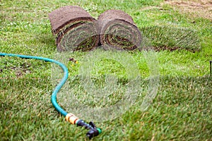 Stack of turf grass roll for lawn