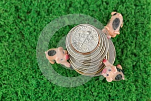 Stack of US coins, American money with blurred 3 pigs climbing,