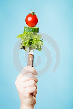 Stack of vegetales on knife in hand photo