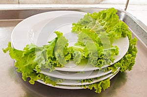 Stack of Waste vegetable dishes