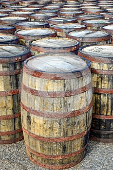 Stack of whisky casks and barrels photo