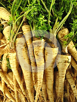 Stack of white carrots