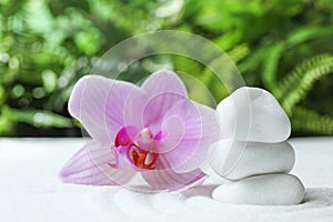 Stack of white stones and beautiful flower on sand against blurred green background. Zen, meditation, harmony