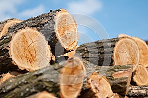 Stack of wood