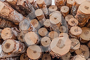 Stack of wood logs. Wood storage for industry. Felled tree trunks. Firewood cut tree trunk logs stacked prepared
