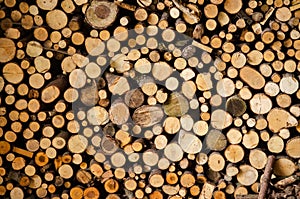 Stack of wood prepared for winter