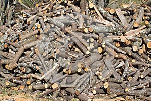 stack of wood and rustic logs piled up for heating