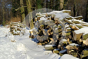 Stack of wood in winter