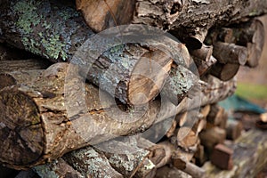 Stack of Wood