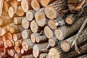 Stack of wooden logs. Felled trees for firewood.