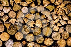 A Stack of  Wooden Logs, at Strichen Lake  Aberdeenshire, Scotland, UK.