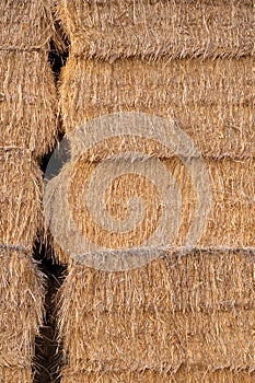 stack of yellow hay straw bales background alfalfa verticle photo