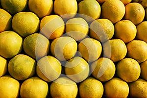 A stack of yellow ripe and sweet lines on the whole screen on the market. Lime and lemons background. Fresh organic lemons and