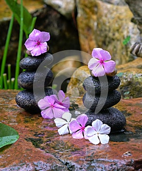 Stack of zen stones with flowers next to a garden mini waterfall
