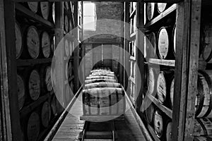 Stacked aging whiskey, scotch, bourbon barrels in Kentucky in black and white