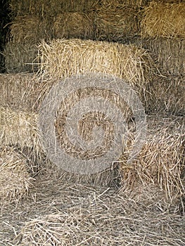Stacked Bales of Straw