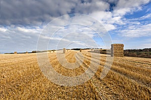 Stacked bales of straw in farmers field, Yorksire Wolds