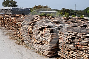 Stacked bark of cork oak