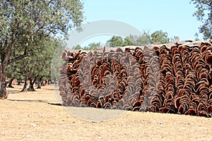 Stacked bark of the cork oak in Alentejo, Portugal photo