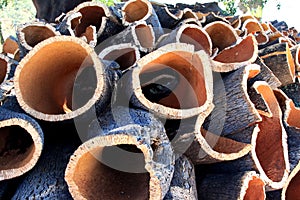 Stacked bark of cork oak in Alentejo, Portugal photo