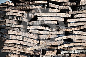 Stacked bark of cork oak