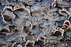 Stacked bark of raw cork oak