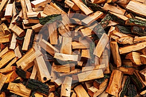 Stacked Chopped Alnus Firewood on Pile, Pile of broken twigs. Twig texture background. Pile of pieces of twig