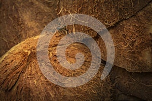 Stacked of coconut shells close-up