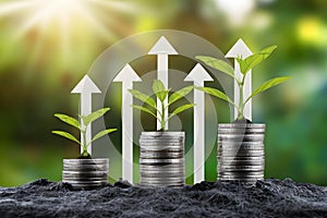 Stacked coins grow plants with arrows up, against blurred green backdrop, symbolizing financial and environmental growth