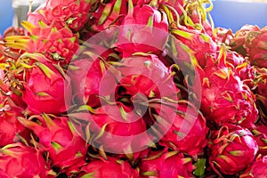 Stacked from dragon fruit or pitahaya fruit in a Turkish market